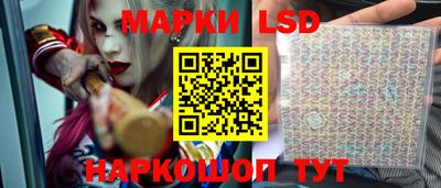 а пвп мука Ачхой-Мартан