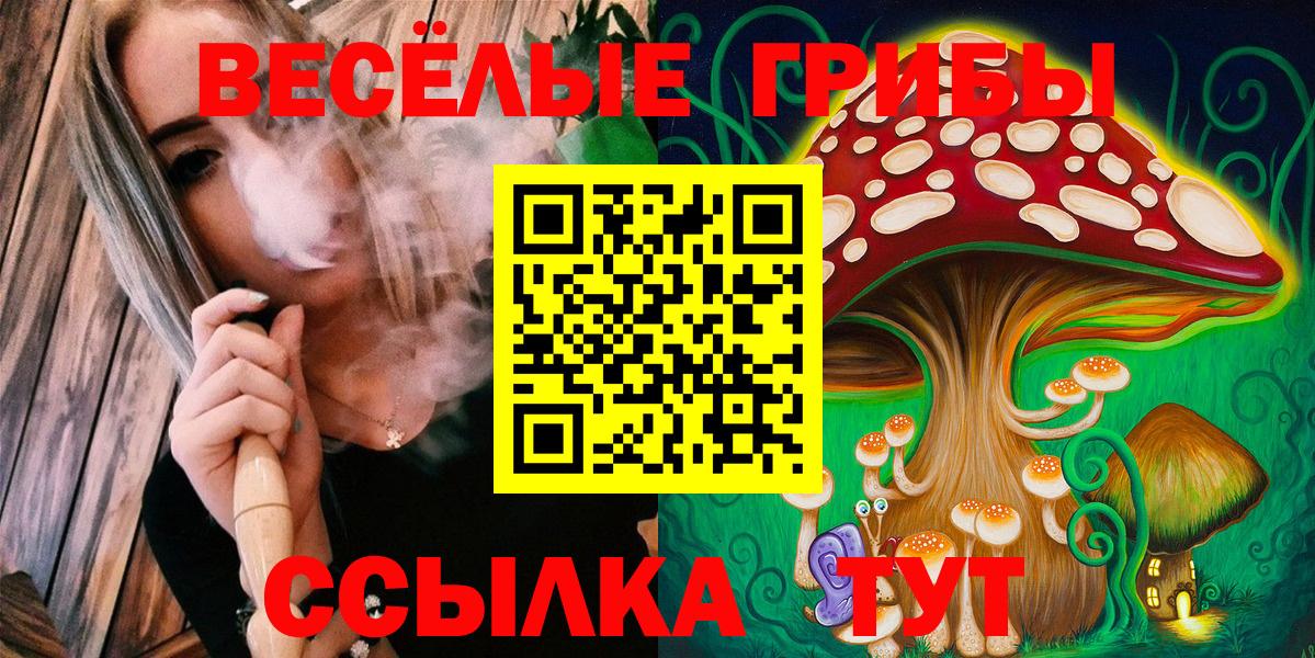 Псилоцибиновые грибы Psilocybine cubensis Бердск
